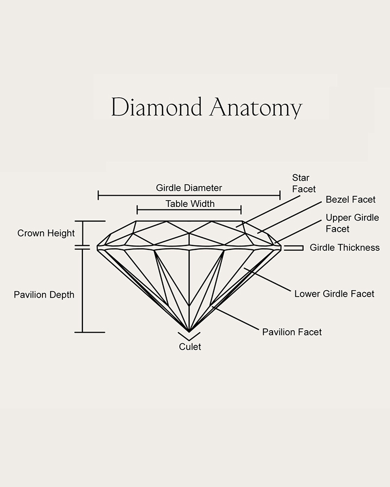 guide-diamond-anatomy